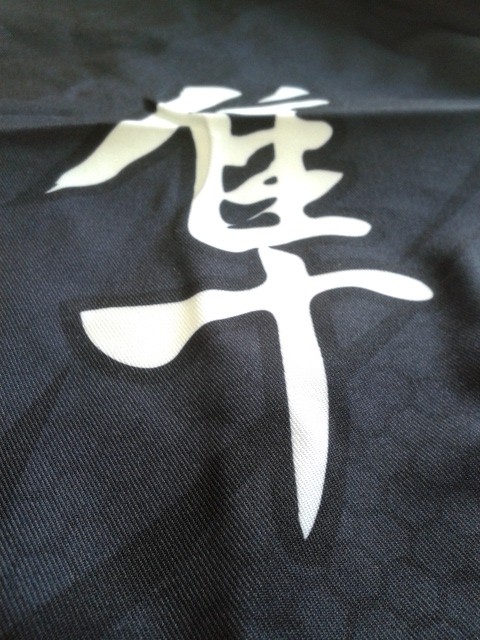 Hayabusa Metaru Performance Shorts Back Detail