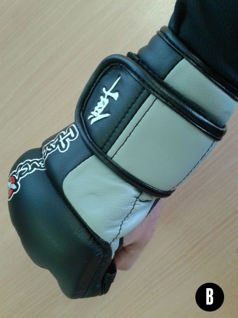 Tokushu-MMA-Dual-X