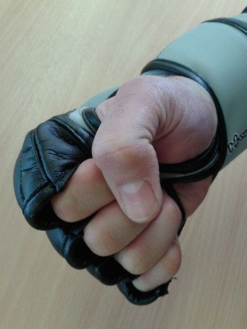 Tokushu-MMA-Fist