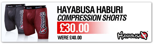 497-Hayabusa-Haburis-Tab