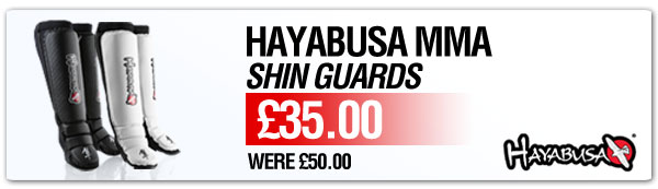 497-Hayabusa-Shinguards-Tab