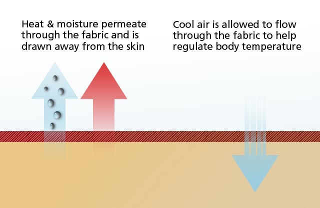 Moisture Wicking Diagram